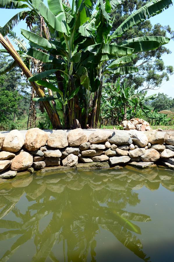 Koi Koi, Fort Portal Kasusu Exterior foto