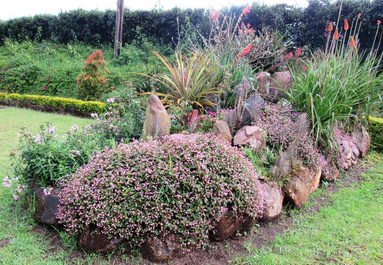 Koi Koi, Fort Portal Kasusu Exterior foto